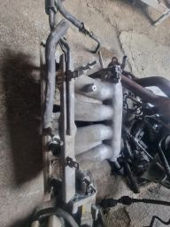 https://img.olx.com.br/thumbs256x256/44/444548273460896.jpg