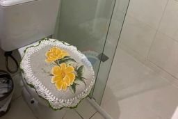 https://img.olx.com.br/thumbs256x256/44/444551516474540.jpg
