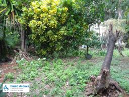 https://img.olx.com.br/thumbs256x256/44/444557398984181.jpg