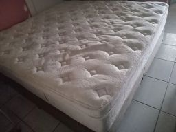 https://img.olx.com.br/thumbs256x256/44/445516880122354.jpg