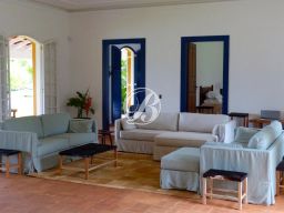 https://img.olx.com.br/thumbs256x256/44/445517747051054.jpg