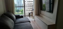 https://img.olx.com.br/thumbs256x256/44/445518035382315.jpg