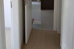 https://img.olx.com.br/thumbs256x256/44/445571636021265.jpg