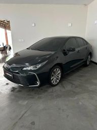https://img.olx.com.br/thumbs256x256/44/445663771347639.jpg