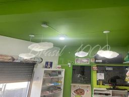 https://img.olx.com.br/thumbs256x256/44/445667791926884.jpg