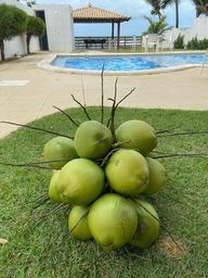 https://img.olx.com.br/thumbs256x256/44/446380620174681.jpg
