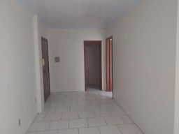 https://img.olx.com.br/thumbs256x256/44/446525161524241.jpg