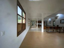 https://img.olx.com.br/thumbs256x256/44/446567287381839.jpg
