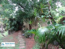 https://img.olx.com.br/thumbs256x256/44/447510153306124.jpg