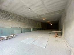 https://img.olx.com.br/thumbs256x256/44/447523285274203.jpg
