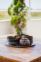 https://img.olx.com.br/thumbs256x256/44/447524525564586.jpg