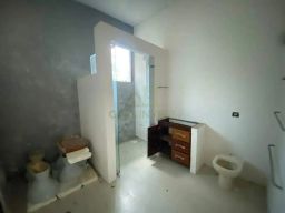 https://img.olx.com.br/thumbs256x256/44/447547403140347.jpg