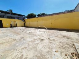 https://img.olx.com.br/thumbs256x256/44/447591031267597.jpg