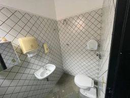 https://img.olx.com.br/thumbs256x256/44/448484877175203.jpg