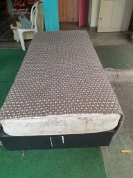 https://img.olx.com.br/thumbs256x256/44/448572125389337.jpg