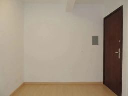 https://img.olx.com.br/thumbs256x256/44/449532768900672.jpg