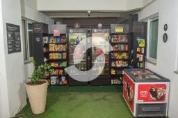 https://img.olx.com.br/thumbs256x256/44/449560168208159.jpg