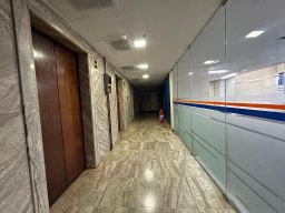 https://img.olx.com.br/thumbs256x256/44/449563510576717.jpg
