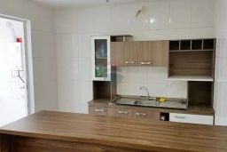 https://img.olx.com.br/thumbs256x256/44/449574158682389.jpg