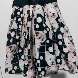 https://img.olx.com.br/thumbs256x256/45/450446833121001.jpg