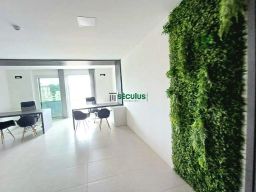 https://img.olx.com.br/thumbs256x256/45/450548162593459.jpg
