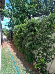 https://img.olx.com.br/thumbs256x256/45/450595644732909.jpg