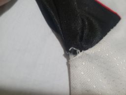 https://img.olx.com.br/thumbs256x256/45/451542766267123.jpg