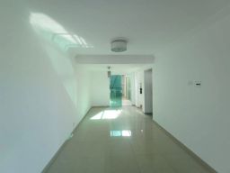 https://img.olx.com.br/thumbs256x256/45/451552167266331.jpg