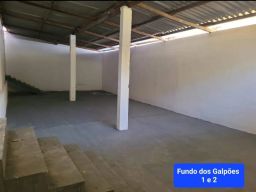 https://img.olx.com.br/thumbs256x256/45/451553631495557.jpg