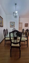 https://img.olx.com.br/thumbs256x256/45/451561525958344.jpg