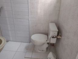 https://img.olx.com.br/thumbs256x256/45/451570381603372.jpg