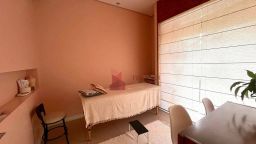 https://img.olx.com.br/thumbs256x256/45/451570633710046.jpg