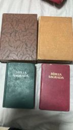 https://img.olx.com.br/thumbs256x256/45/452486880718971.jpg