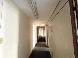 https://img.olx.com.br/thumbs256x256/45/452558873043274.jpg