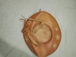 https://img.olx.com.br/thumbs256x256/45/453483264929854.jpg