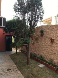 https://img.olx.com.br/thumbs256x256/45/453562888605971.jpg