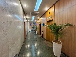 https://img.olx.com.br/thumbs256x256/45/453587030520127.jpg