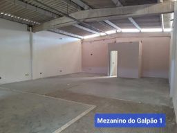 https://img.olx.com.br/thumbs256x256/45/453590639734104.jpg