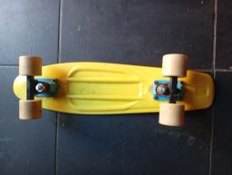 https://img.olx.com.br/thumbs256x256/45/454401828589528.jpg
