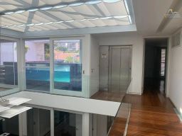 https://img.olx.com.br/thumbs256x256/45/454538762833424.jpg