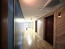 https://img.olx.com.br/thumbs256x256/45/454553036267166.jpg
