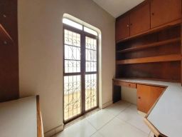 https://img.olx.com.br/thumbs256x256/45/454560045486356.jpg