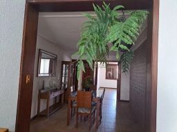 https://img.olx.com.br/thumbs256x256/45/454575392451423.jpg