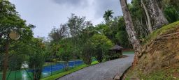 https://img.olx.com.br/thumbs256x256/45/454626802649693.jpg