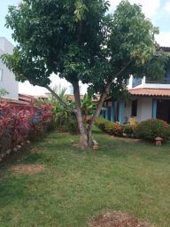 https://img.olx.com.br/thumbs256x256/45/455378585772965.jpg