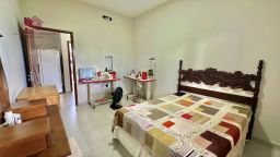 https://img.olx.com.br/thumbs256x256/45/455444420254105.jpg