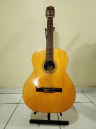https://img.olx.com.br/thumbs256x256/45/455514643000880.jpg