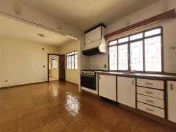 https://img.olx.com.br/thumbs256x256/45/455539284930102.jpg