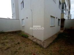 https://img.olx.com.br/thumbs256x256/45/455578286620058.jpg