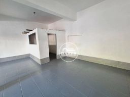 https://img.olx.com.br/thumbs256x256/45/455597878528948.jpg